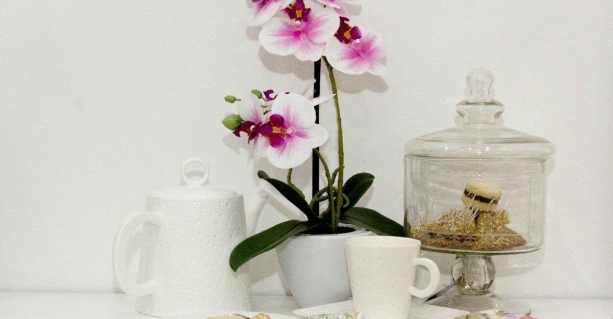 Orquídea na mesa do café simbolizando autocuidado e relaxamento.