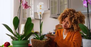 Pessoa cuidando de orquídeas como prática de autocuidado e terapia natural. "O Poder Terapêutico das Orquídeas"