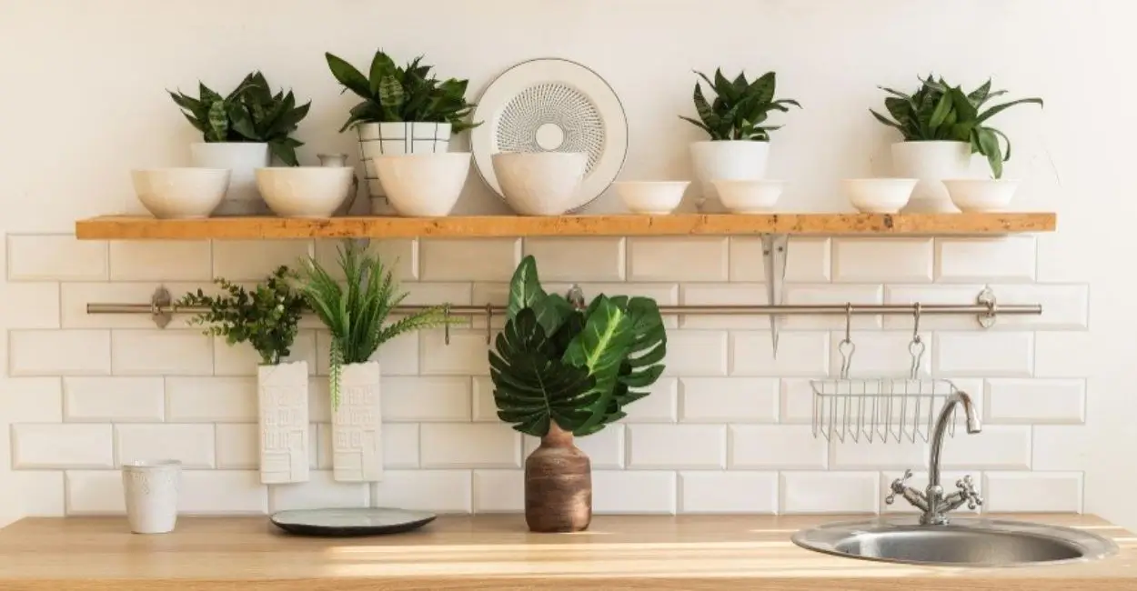 Decoração com Plantas na Cozinha