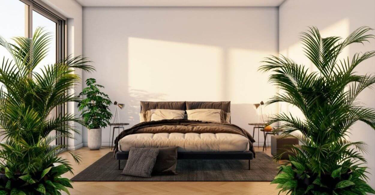 Decoração de Quarto com Plantas