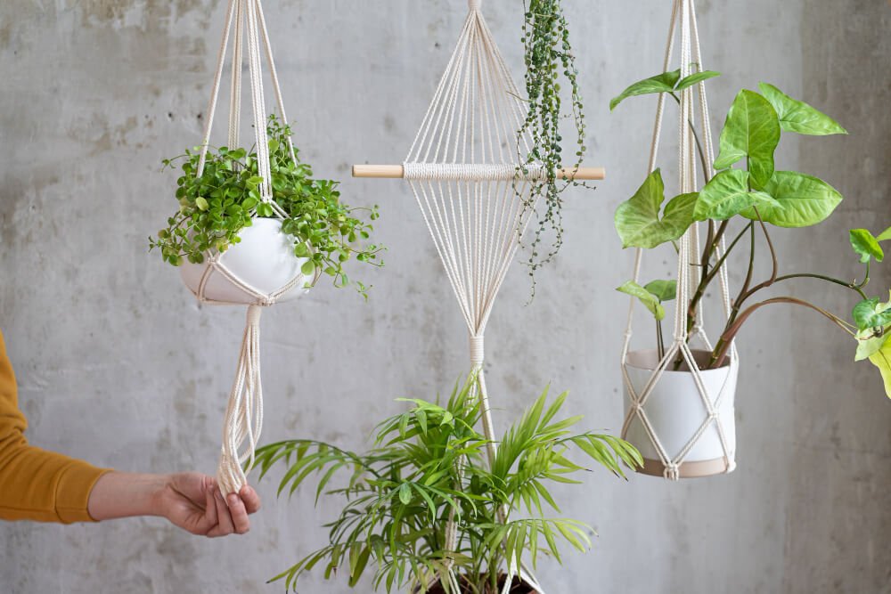 Ideias Criativas de Decoração com Plantas